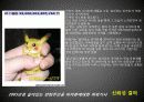 인터넷 언론의 실태와 바른길 8페이지