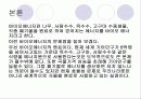 바이오 에너지에 대하여 7페이지