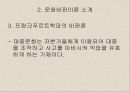 문화이론을 적용해 바라 본 대중문화로서의 촛불집회 6페이지