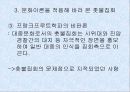 문화이론을 적용해 바라 본 대중문화로서의 촛불집회 11페이지