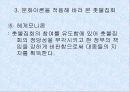 문화이론을 적용해 바라 본 대중문화로서의 촛불집회 13페이지