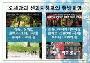 애니메이션 8페이지