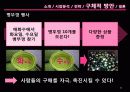 매주 화요일 수요일은 매화수를! 12페이지