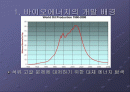 바이오에너지의 부정적 현실 2페이지