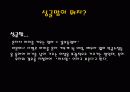 싱글맘(Singlemom) 허수경 사례 및 긍정적 반응과 부정적 반응 3페이지