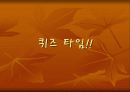이스터 섬 11페이지