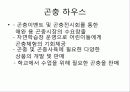 관광축산 곤충하우스 4페이지