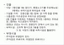 관광축산에 대하여 5페이지