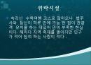 관광축산 사업계획서 10페이지