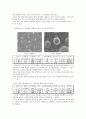 Suspension polymerization of Butyl methacrylate (BMA) 11페이지