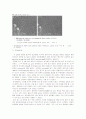 에멀젼최종(Emulsion Polymerization of Styrene) 8페이지