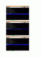 OPERATING SYSTEM (GeekOS - project3) 47페이지