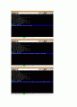 OPERATING SYSTEM (GeekOS - project3) 48페이지