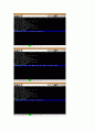OPERATING SYSTEM (GeekOS - project3) 49페이지