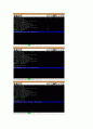 OPERATING SYSTEM (GeekOS - project3) 51페이지