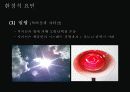 모발의 손상 및 헤어 크리닉 -모발의 손상 17페이지