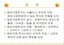 해외직접투자 20페이지