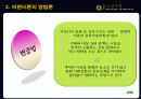 한국정부론 발표 - 비판이론 10페이지