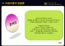 한국정부론 발표 - 비판이론 12페이지