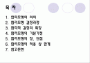 합리모형의 결정과정 기본가정 장단점 2페이지