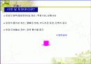 한라봉 영양생리 및 대책 10페이지
