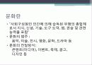 문화마케팅 7페이지