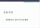 문화마케팅 13페이지