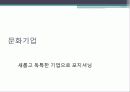 문화마케팅 25페이지