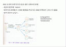 미생물의 유전 2페이지