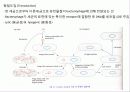미생물의 유전 8페이지