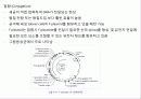 미생물의 유전 11페이지