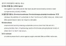 미생물의 유전 17페이지