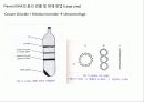 미생물의 유전 23페이지