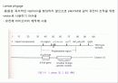 미생물의 유전 25페이지