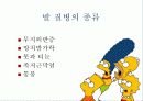 발과 인체의 건강 4페이지