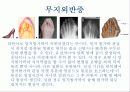 발과 인체의 건강 5페이지