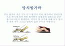발과 인체의 건강 6페이지