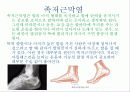 발과 인체의 건강 8페이지