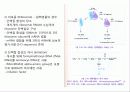 분자유전학 12페이지