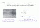 분자유전학 16페이지