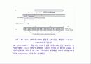 분자유전학 20페이지