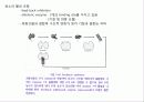 분자유전학 26페이지