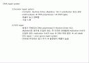 분자유전학 31페이지