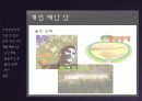 [음환경]소음에 대한 기준 및 법규 현재 개선 사항 및 제안 11페이지
