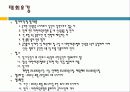전국태권도대회 7페이지