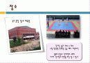 전국태권도대회 17페이지
