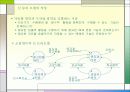 신논리모델 12페이지