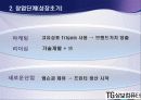 성장단계별 경영전략 20페이지