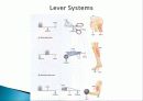 Muscle System 3페이지