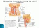 Muscle System 9페이지